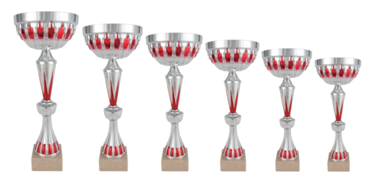 LOT DE 6 COUPES REF.1246 HAUTEURS DE 24 à 40 CM