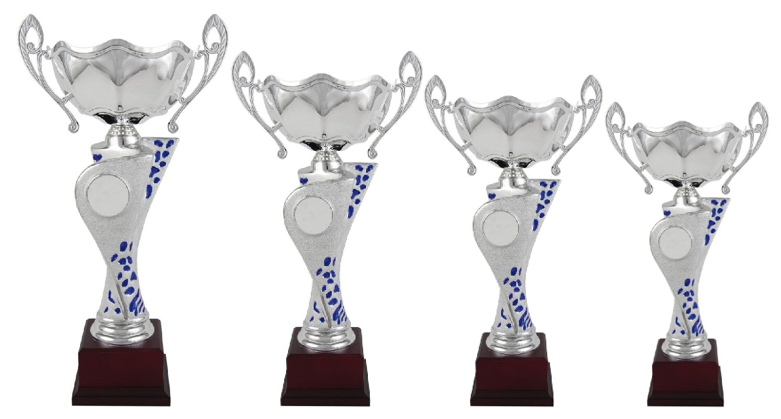 LOT DE 4 COUPES 1342 - 30 à 47 cm CENTRE DISCIPLINE A PERSONNALISER