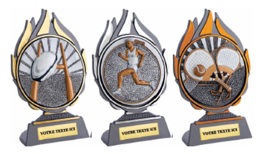 TROPHEE DISCIPLINE AU CHOIX FINITION ORr - Argent - Bronze - HAUTEUR 13CM