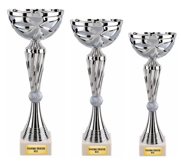 COUPE ARGENTEE REF.5223 3 HAUTEURS