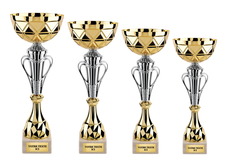 COUPE BICOLORE ARGENTEE/DOREE 5237 - 4 HAUTEURS