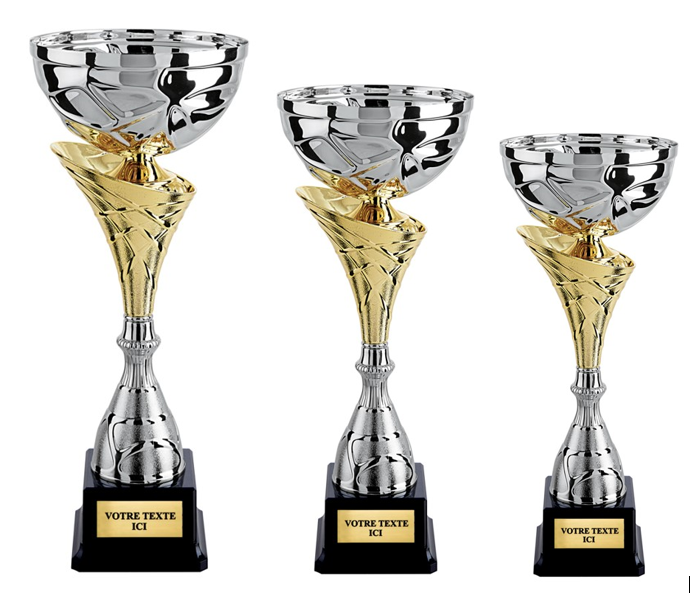 COUPE BICOLORE 5258 3 HAUTEURS