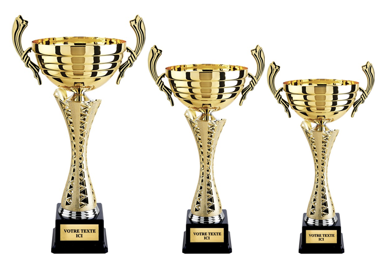 COUPE DOREE AVEC ANSES 5259 3 HAUTEURS