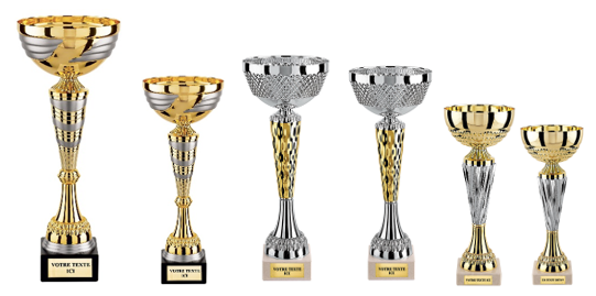 LOT DE 6 COUPES REF. LOT ETE N°1 de 22 à 37 cm