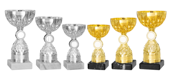 LOT DE 6 COUPES PODIUM N°1