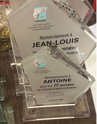 Devis rapide en ligne pour lot de Coupes Prestige sur-mesure pour remise de prix à Nancy